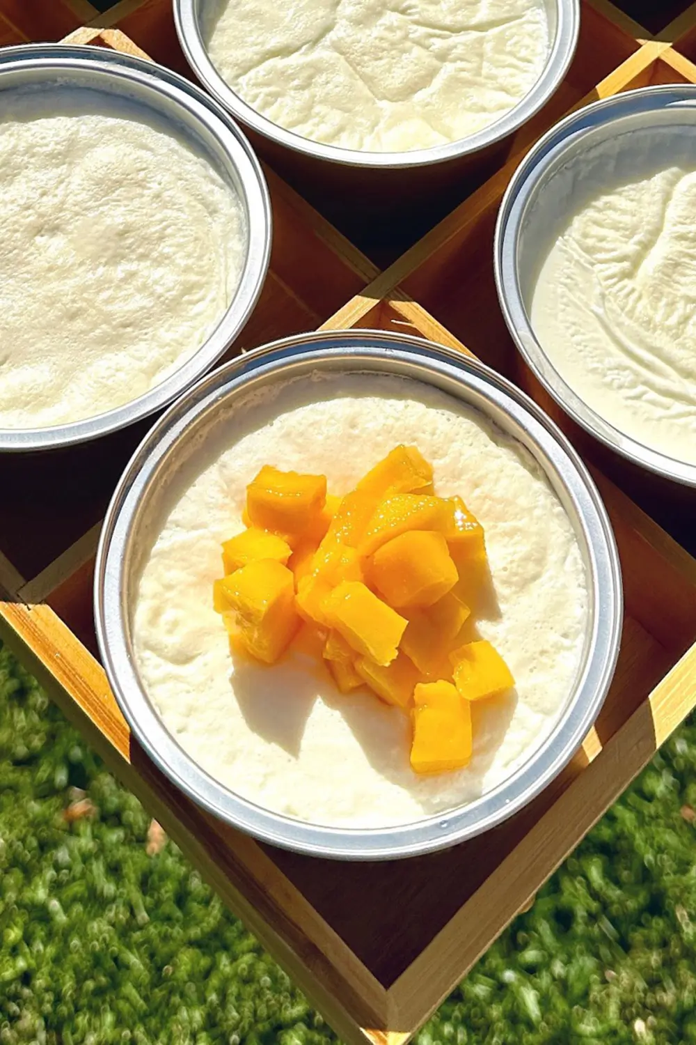 Double - skinned milk topped with fresh mango pieces, creamy and fruity at Sweet Newbie,a Dessert Shop in Chicago